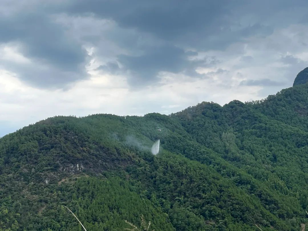 广安华蓥市突发山火 四川森林消防总队紧急驰援