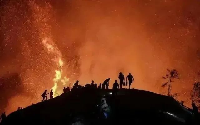 培育家国情怀，厚植人生底色：森林消防员走进校园讲述重庆山火救援感人故事