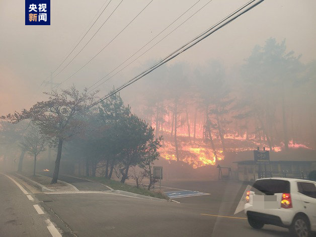 韩国消防部门对江原道山林火灾发布最高级别应对命令