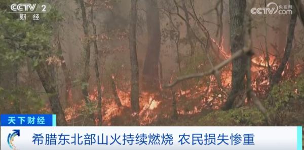 希腊一地山火失控？已造成超20人死亡！上千人撤离