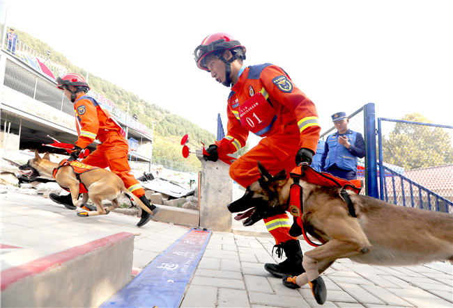 第七届全国消防搜救犬技术比武竞赛在济南落下帷幕